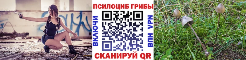Купить закладки  Калининград  Псилоцибиновые грибы прущие грибы 